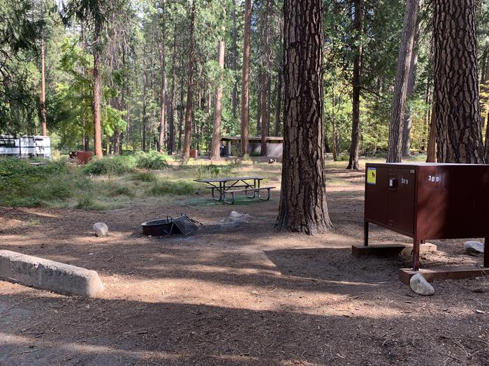 A photo of Site 309 of Loop North Pines at NORTH PINES with Picnic Table, Fire Pit
