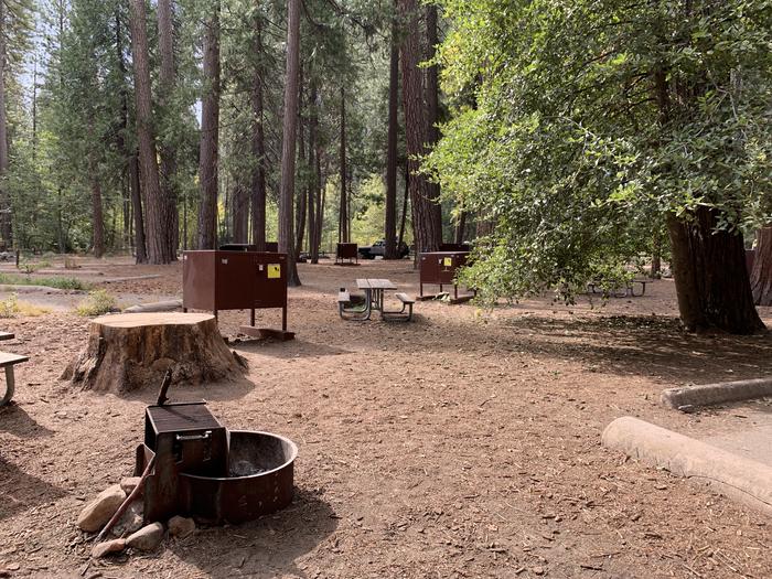A photo of Site 501 of Loop North Pines at NORTH PINES with Picnic Table