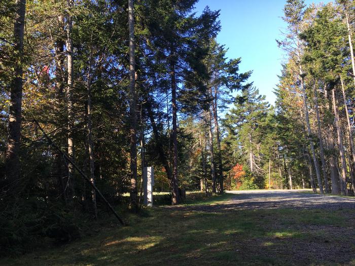 A photo of Site A38 of Loop A-Loop at Schoodic Woods Campground with Picnic Table, Electricity Hookup, Fire Pit