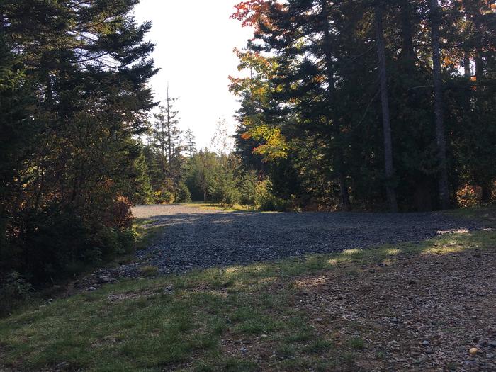 A photo of Site A43 of Loop A-Loop at Schoodic Woods Campground with Picnic Table, Electricity Hookup, Fire Pit