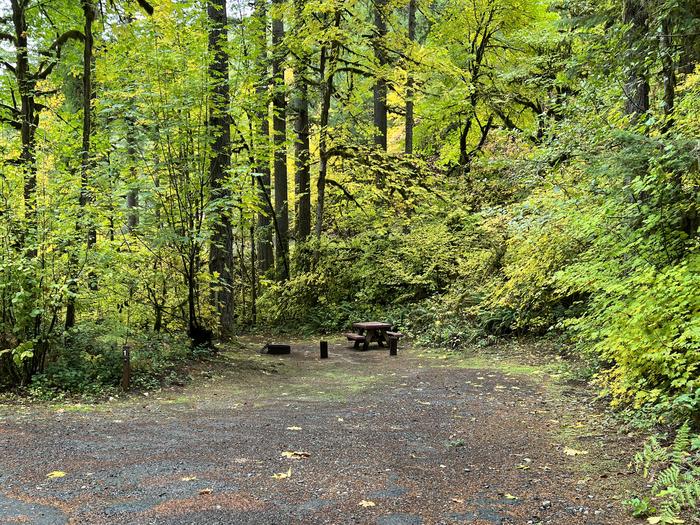 Trout Creek Campground located in the Willamette National Forest.Trout Creek Campground - Site 001