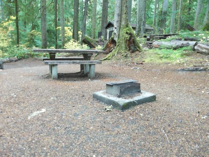 Fire Grate and Picnic Table for Site G01