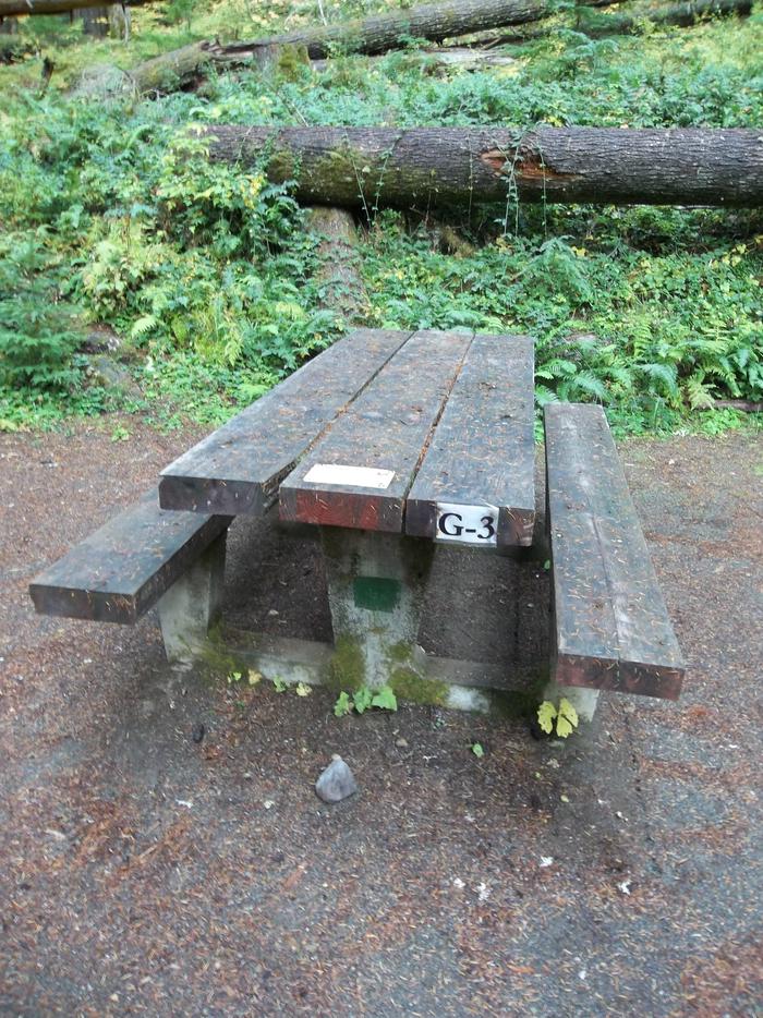 Picnic Table Site G03