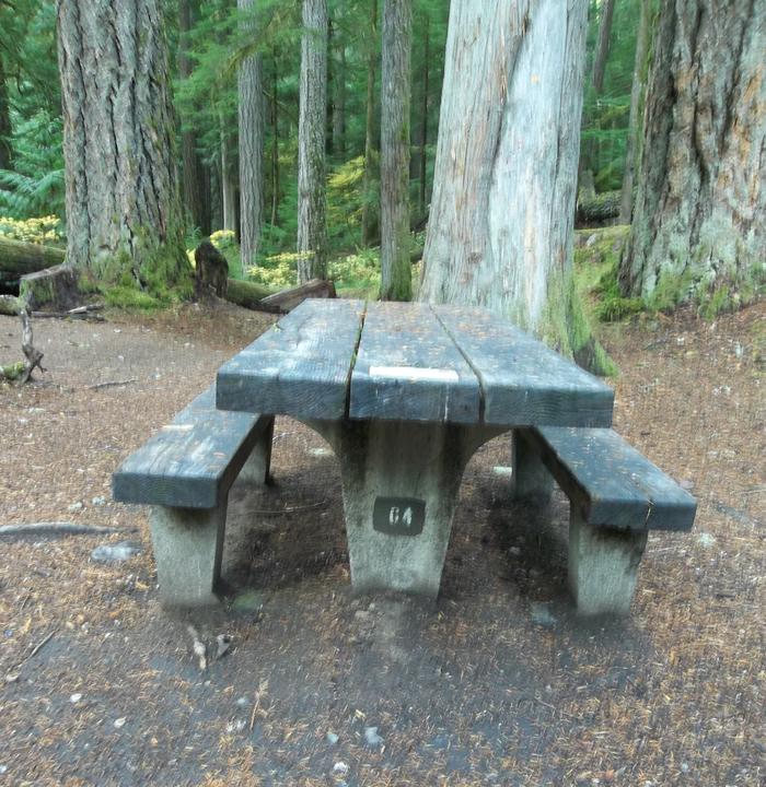 Picnic Table Site G04