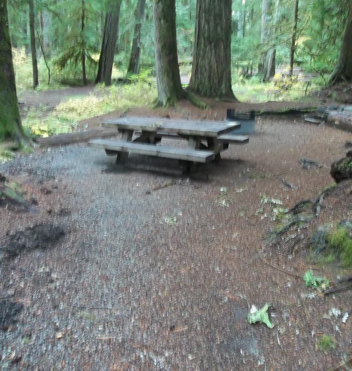 Picnic Table and Firepit Site G05