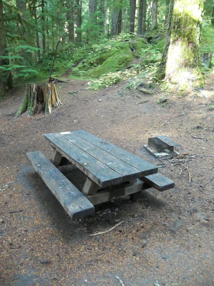 Picnic Table and Fire Grate Site G06