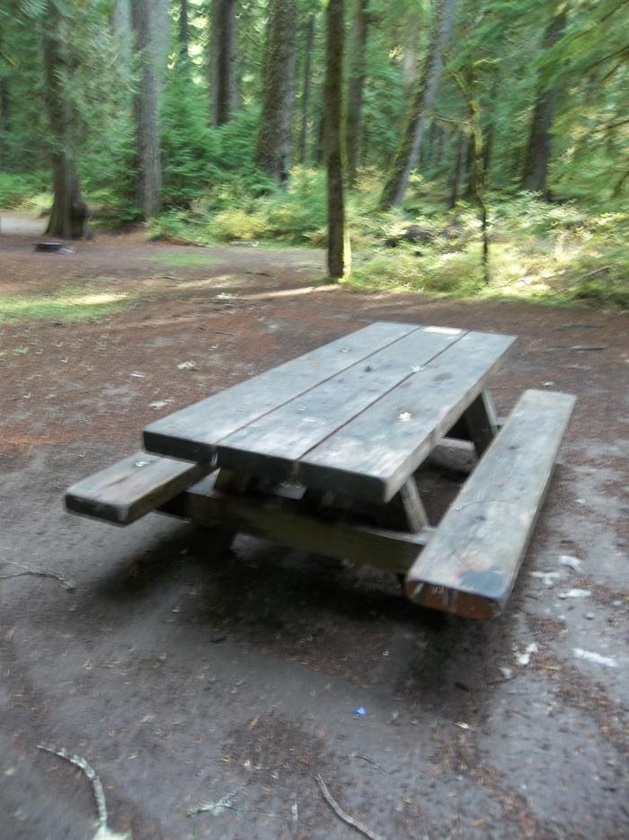 Picnic Table for Site G11