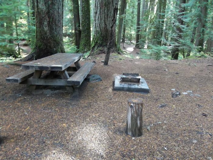 Picnic Table and Fire Ring Site G14