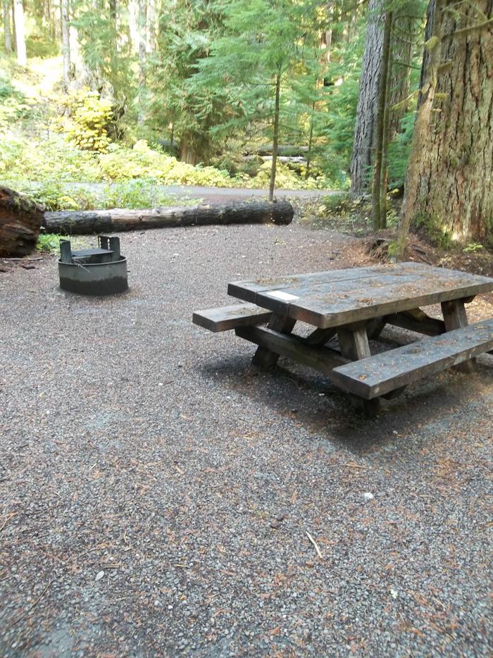 Picnic Table & Fire Ring for Site G15