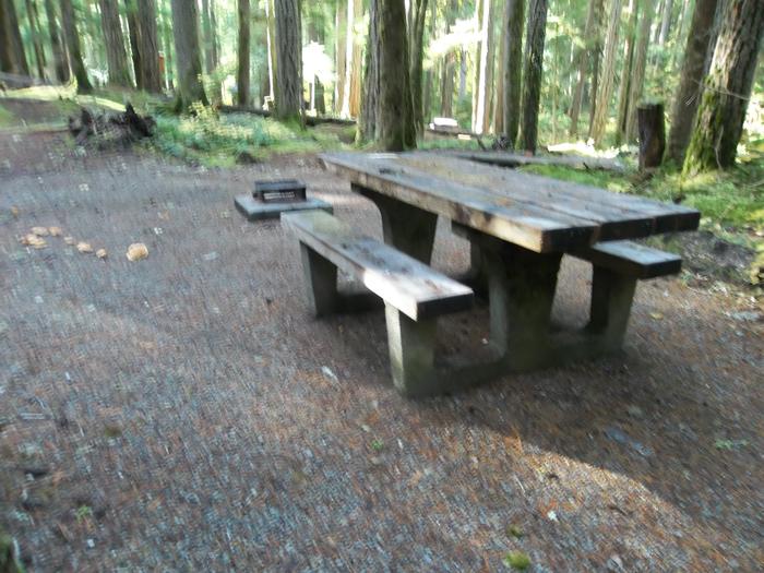 Picnic Table and Fire Ring for Site H06