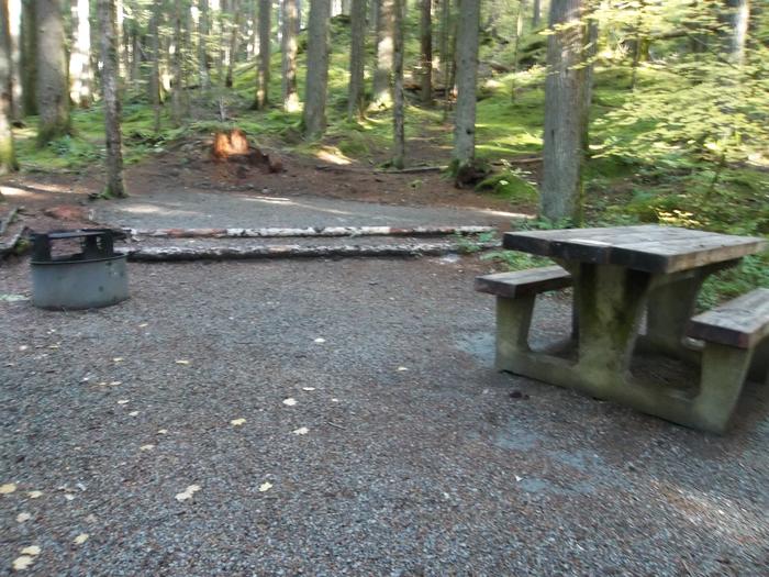 Picnic Table & Fire Ring for Site H07