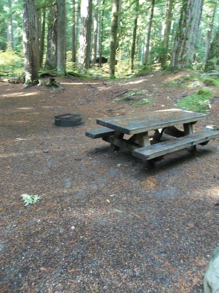 Picnic Table and Fire Ring for site H09