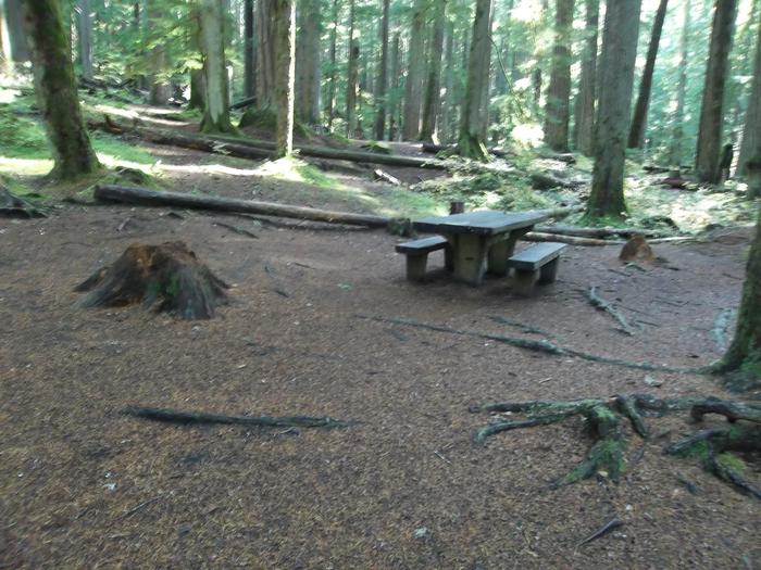 Picnic Table at Site H16