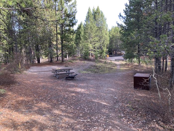A photo of Site 70 of Loop 3 at Signal Mountain Lodge Campground with Picnic Table, Fire Pit, Shade, Food Storage, Tent Pad