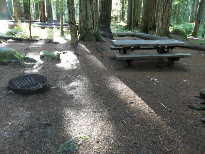 Picnic Table and Firepit for Site H18