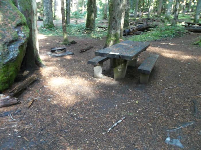 Picnic Table and Fire Ring for Site H19