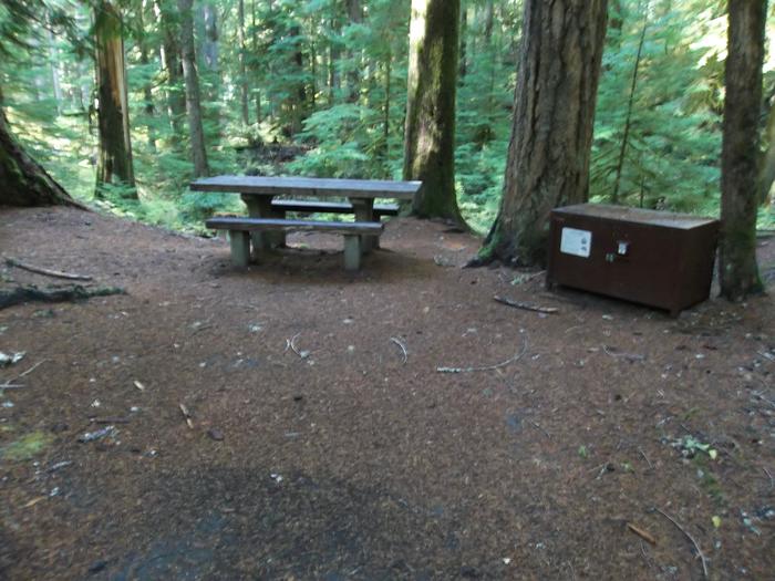 Picnic Table and Food Storage for Site H22
