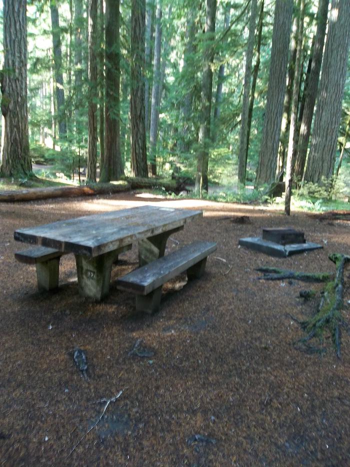 Picnic Table and Firepit for Site H24
