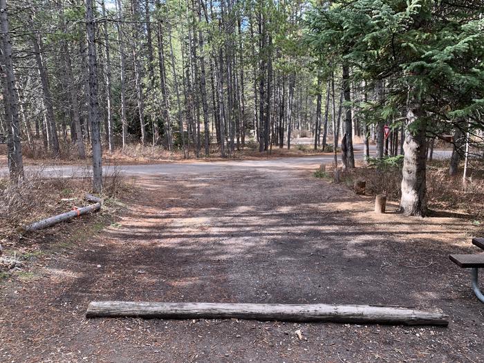 A photo of Site 86 of Loop 3 at Signal Mountain Lodge Campground with Picnic Table, Fire Pit, Shade, Food Storage, Tent Pad