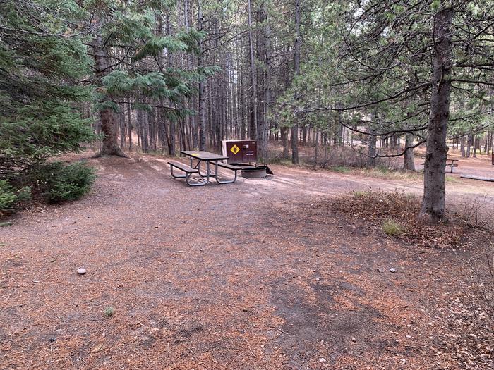A photo of Site 85 of Loop 3 at Signal Mountain Lodge Campground with Picnic Table, Fire Pit, Shade, Food Storage