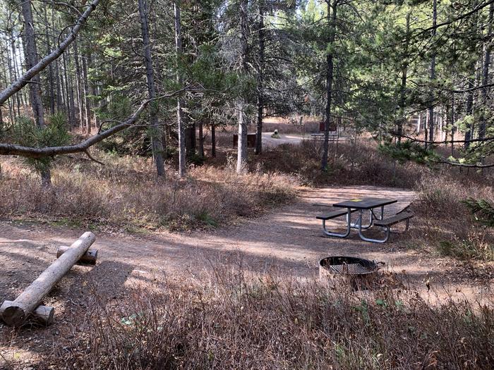 A photo of Site 78 of Loop 3 at Signal Mountain Lodge Campground with Picnic Table, Fire Pit, Shade, Food Storage, Tent Pad