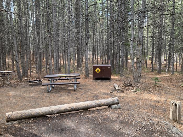 A photo of Site 84 of Loop 3 at Signal Mountain Lodge Campground with Picnic Table, Fire Pit, Shade, Food Storage