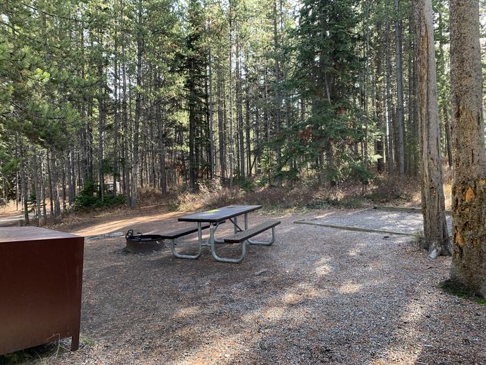 A photo of Site 74 of Loop 3 at Signal Mountain Lodge Campground with Picnic Table, Fire Pit, Shade, Food Storage, Tent Pad