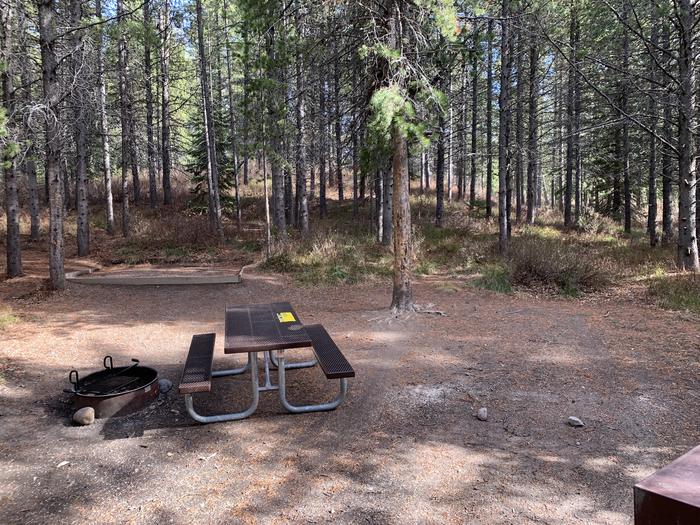 A photo of Site 81 of Loop 3 at Signal Mountain Lodge Campground with Picnic Table, Fire Pit, Shade, Food Storage, Tent Pad
