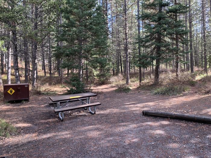 A photo of Site 79 of Loop 3 at Signal Mountain Lodge Campground with Picnic Table, Fire Pit, Shade, Food Storage