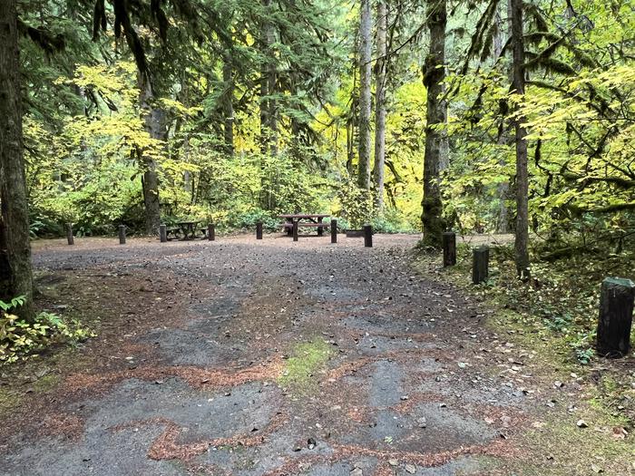Picnic Tables and Fire RingTrout Creek Campground - Site 011