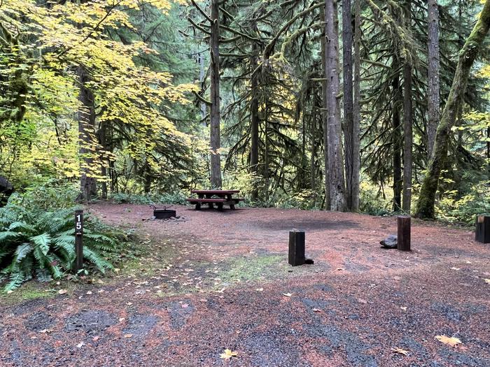 Trout Creek Campground located int he Willamette National ForestTrout Creek Campground - Site 015