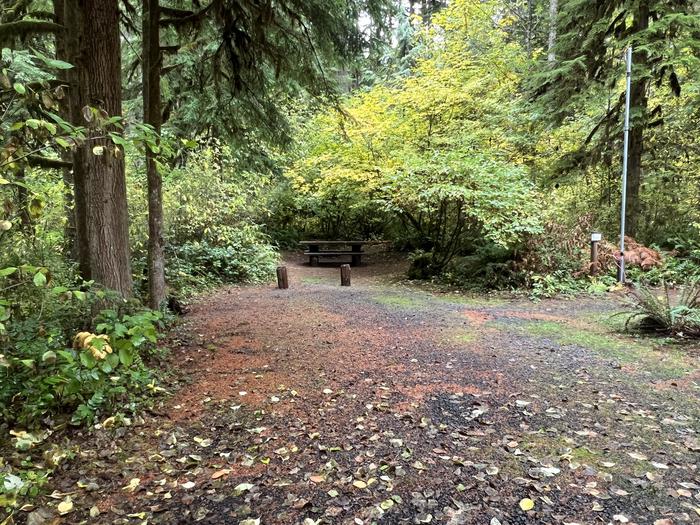 Trout Creek Campground located in the Willamette National ForestTrout Creek Campground - Site 016