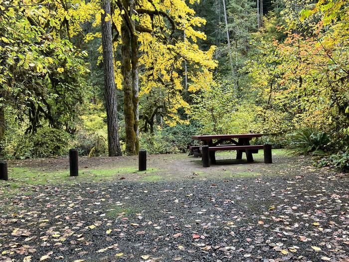 Picnic Table and Fire RingTrout Creek Campground - Site 019