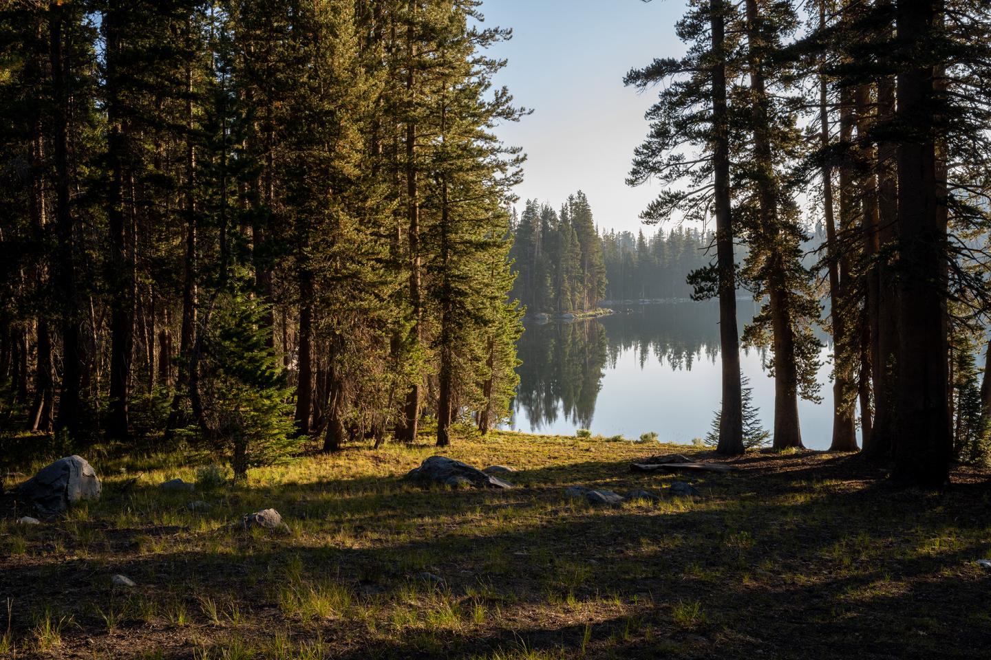 View of lake in between trees with a meadow in the foregroundEarly morning light at a quiet lake in Yosemite Wilderness. 