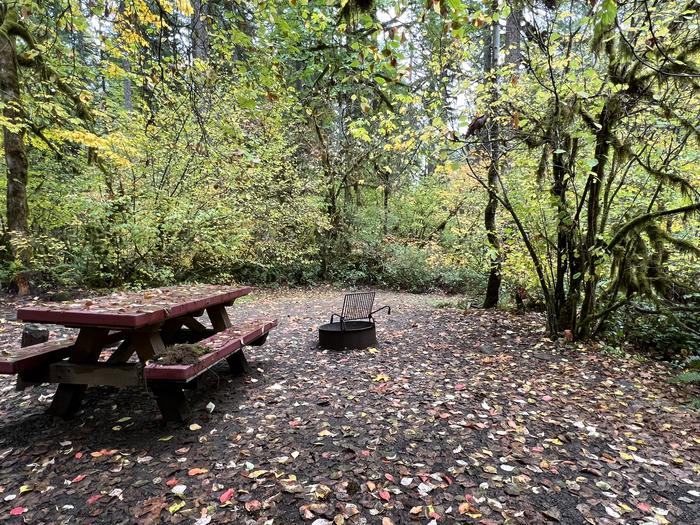 Picnic Table and Fire RingTrout Creek Campground - Site 020