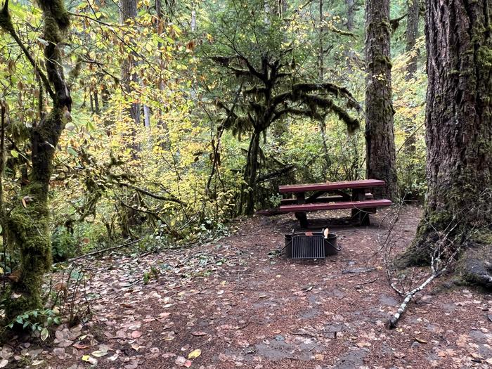 Picnic Table and Fire RingTrout Creek Campground - Site 021