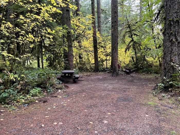 Yukwah Campground located in the Willamette National Forest.Yukwah Campground - Site 001