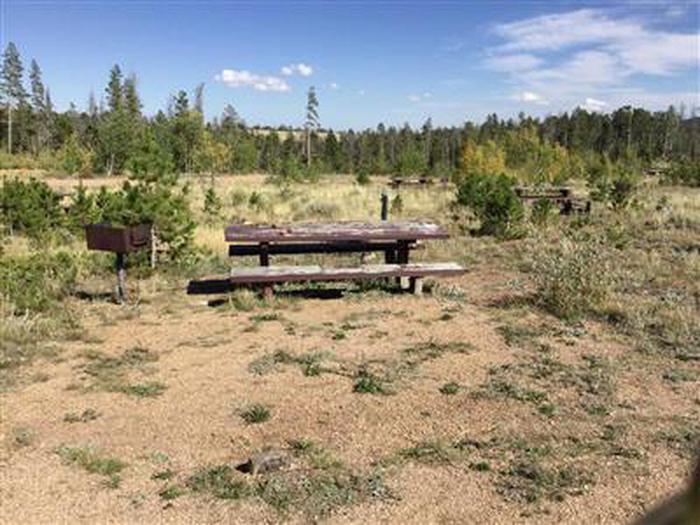 Site 014 picnic table