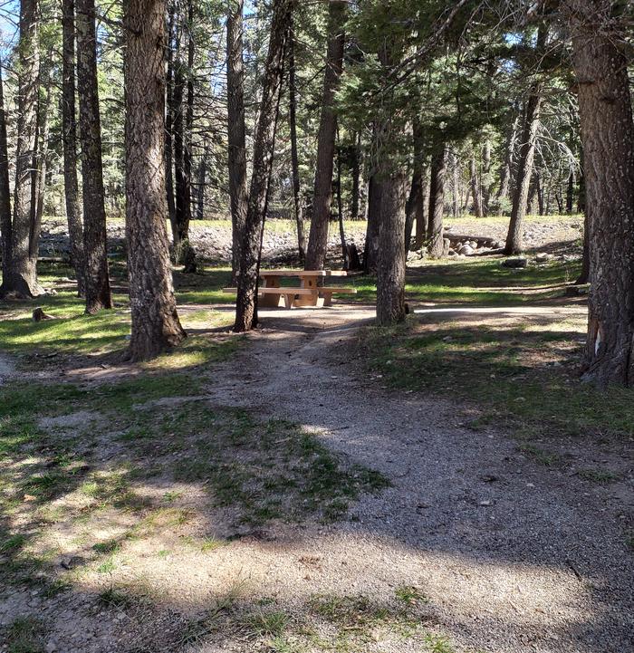ASPEN Group Campground Picnic Table in the Forest