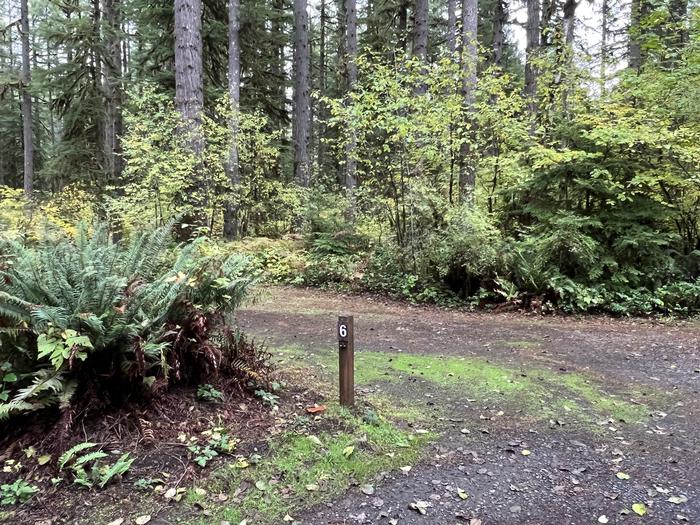Yukwah Campground located in the Willamette National ForestYukwah Campground - Site 006