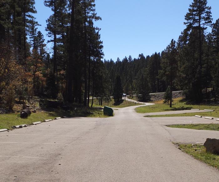 LOWER FIR Group Campground Paved Parking Spaces