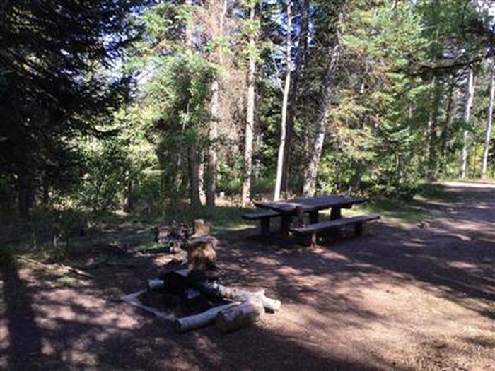 Site 002 picnic tableSite 002 picnic table 