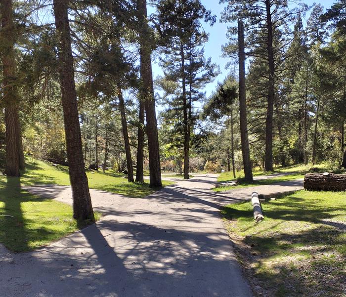 UPPER FIR Group Campground Paved Driveway