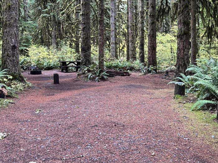 Yukwah Campground located in the Willamette National ForestYukwah Campground - Site 017