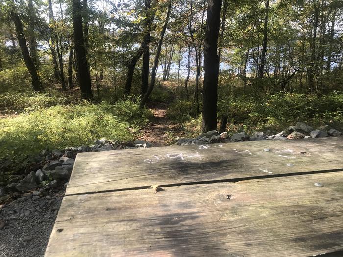 A photo of Site F023 of Loop F at TWIN KNOBS CAMPGROUND with Picnic Table, Fire Pit, Shade, Tent Pad, Waterfront, Lantern Pole