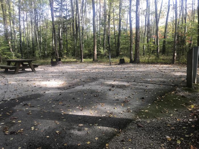 A photo of Site J004 of Loop J at TWIN KNOBS CAMPGROUND with Picnic Table, Electricity Hookup, Fire Pit, Shade, Tent Pad, Lantern Pole