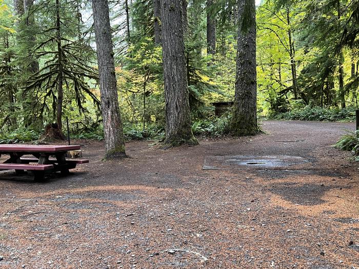 Yukwah Campground located in the Willamette National Forest.Yukwah Campground - Site 020