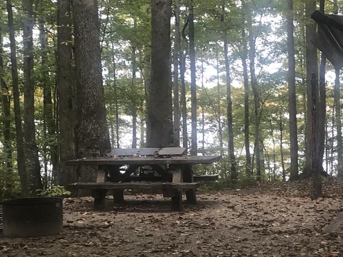 A photo of Site J011 of Loop J at TWIN KNOBS CAMPGROUND with Picnic Table, Electricity Hookup, Fire Pit, Shade, Tent Pad, Waterfront, Lantern Pole