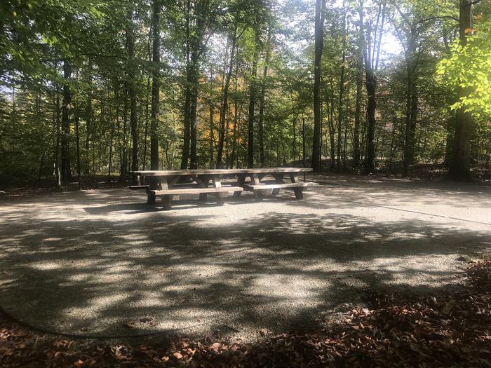 A photo of Site I002 of Loop I at TWIN KNOBS CAMPGROUND with Picnic Table, Fire Pit, Shade, Tent Pad, Lantern Pole