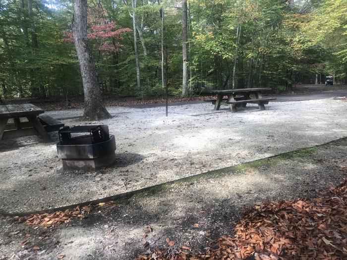 A photo of Site I003 of Loop I at TWIN KNOBS CAMPGROUND with Picnic Table, Fire Pit, Shade, Tent Pad, Lantern Pole